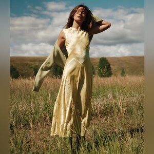 NWT Adelana Dress in Bouquet de Chamonix